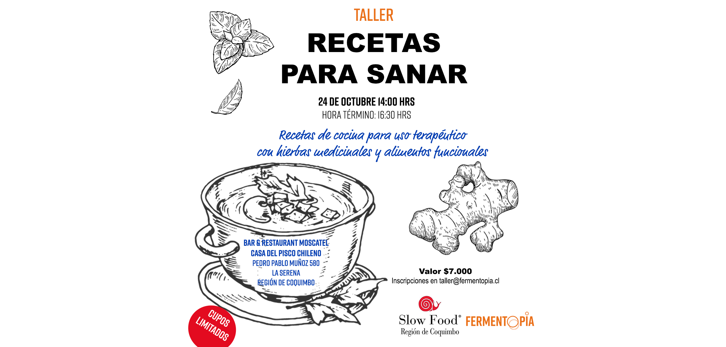 Taller: Recetas para Sanar en La Serena – Fermentopia