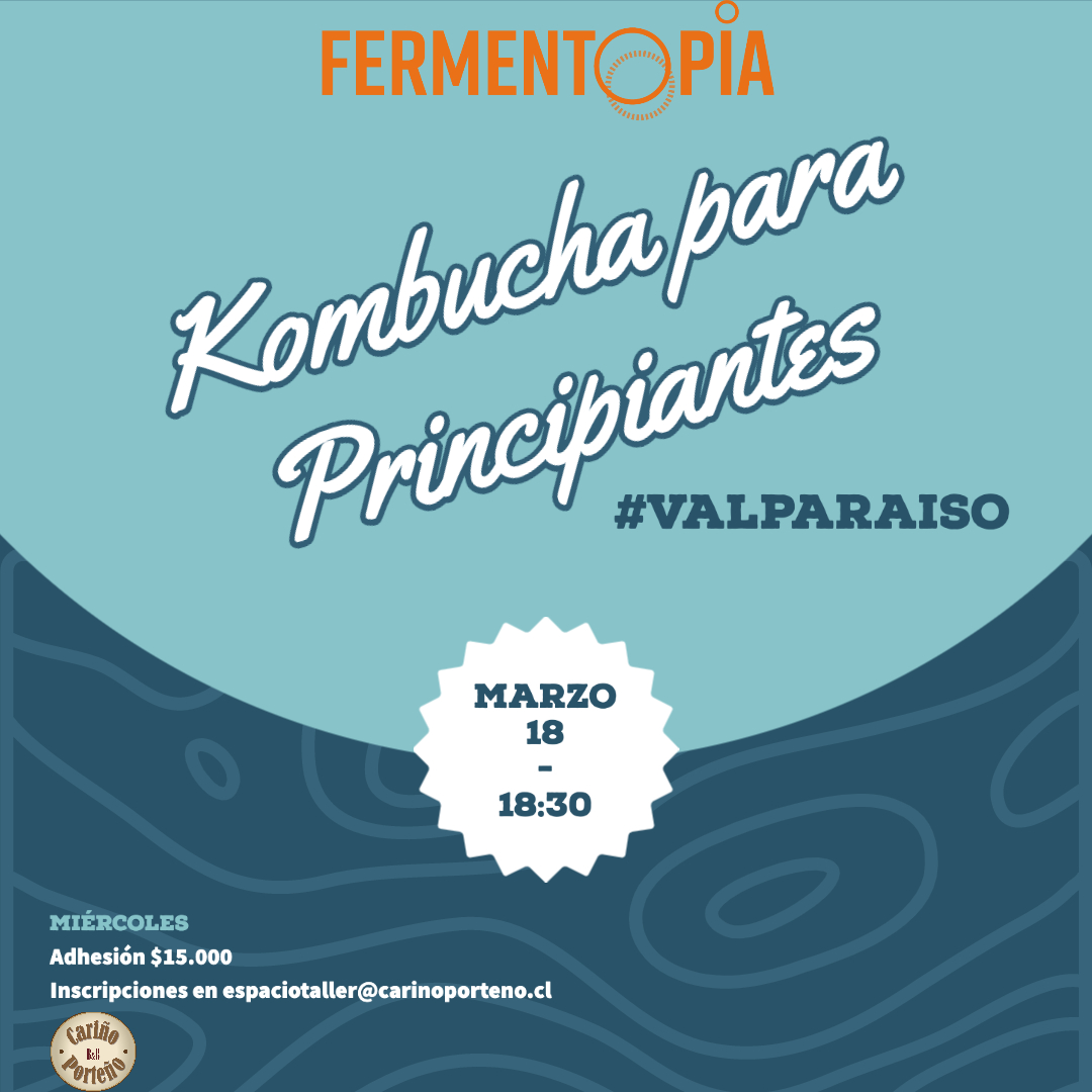 Taller Kombucha para Principiantes Marzo 2020 en Valparaíso
